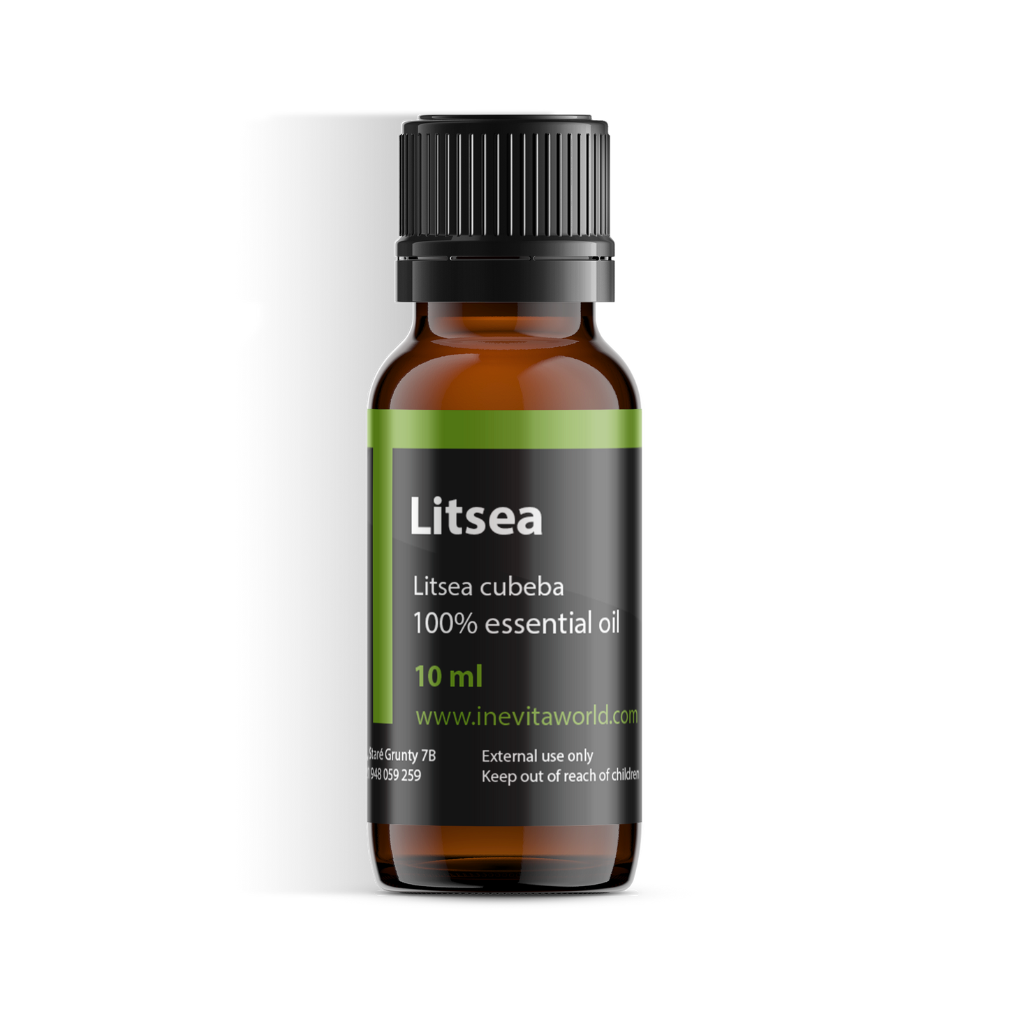 Litsea