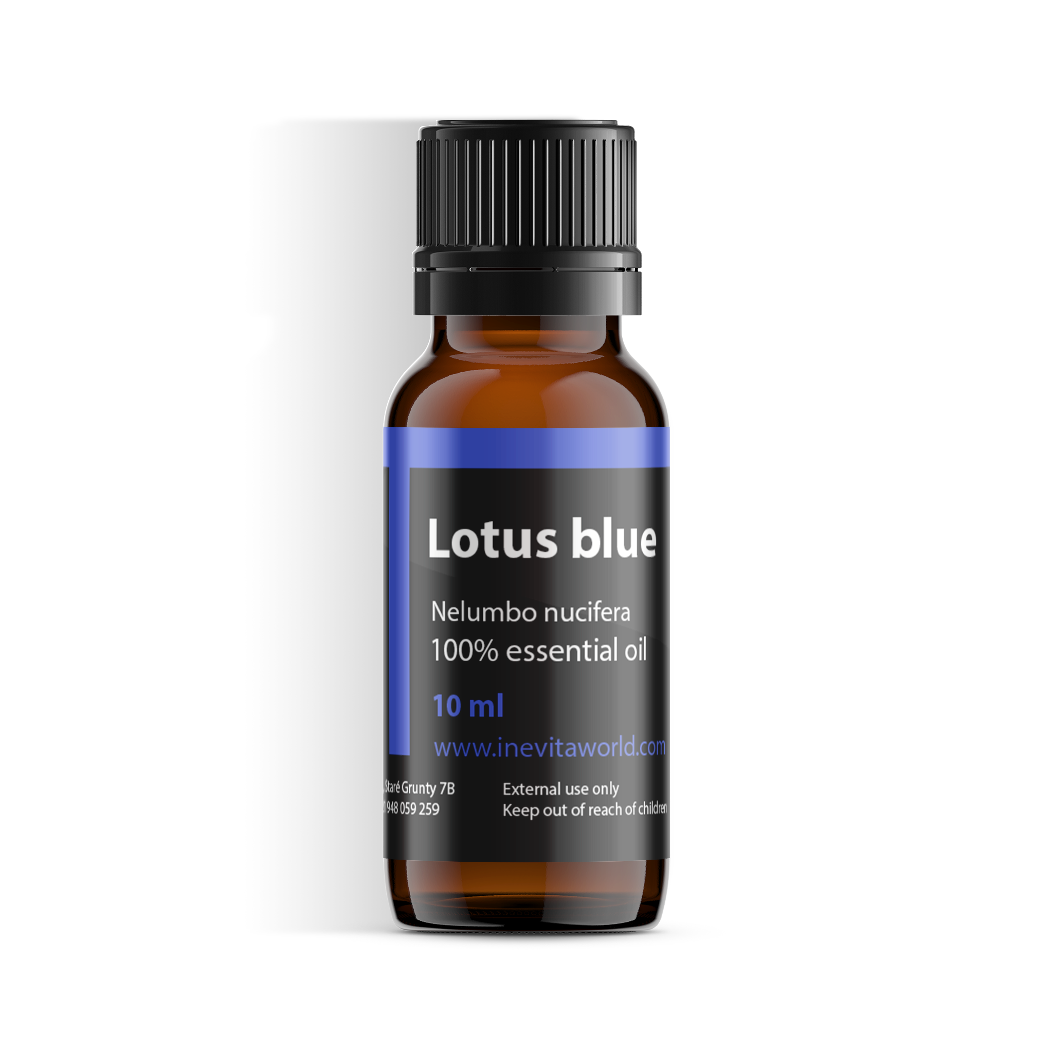 Lotus Blue Absolute inevitaworld.com Lotus Blue Absolute inevitaworld.com