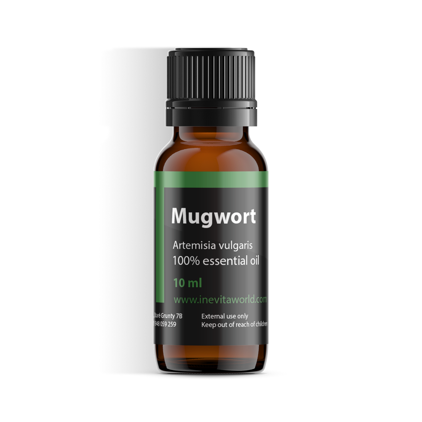 Mugwort