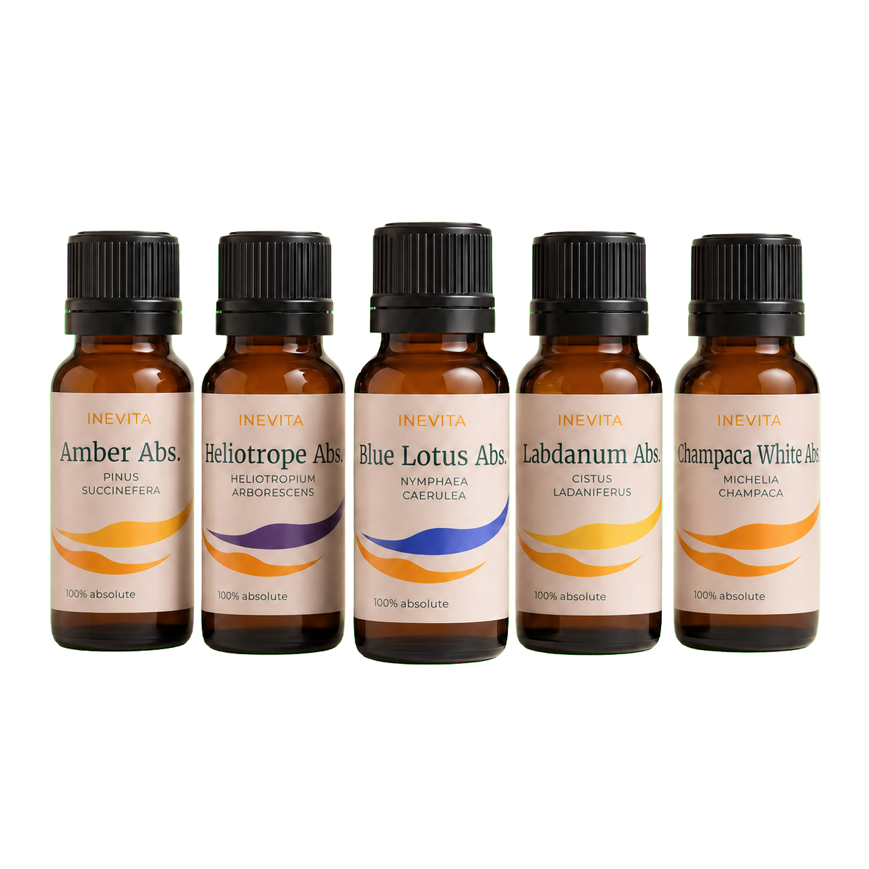 Natural Aromatorium Discovery Set - 5 x 2 ml