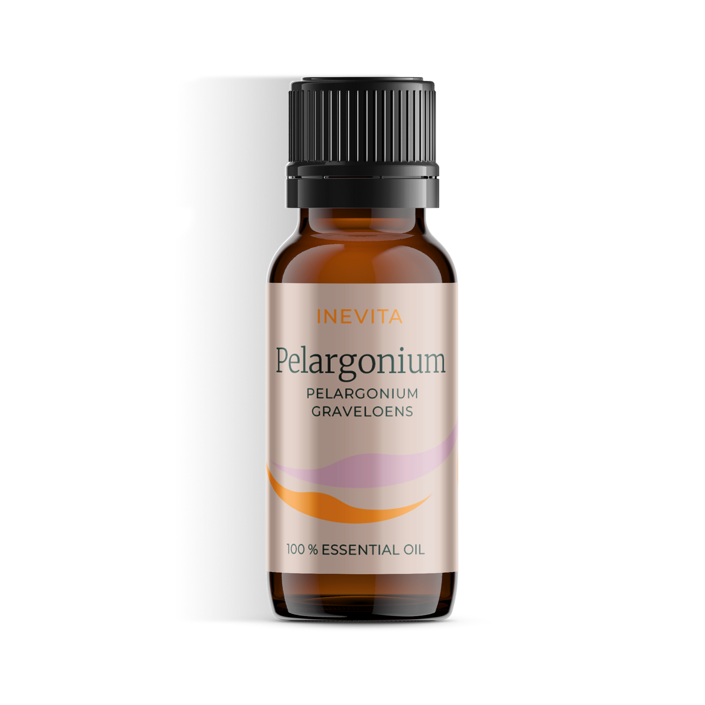 Geranium