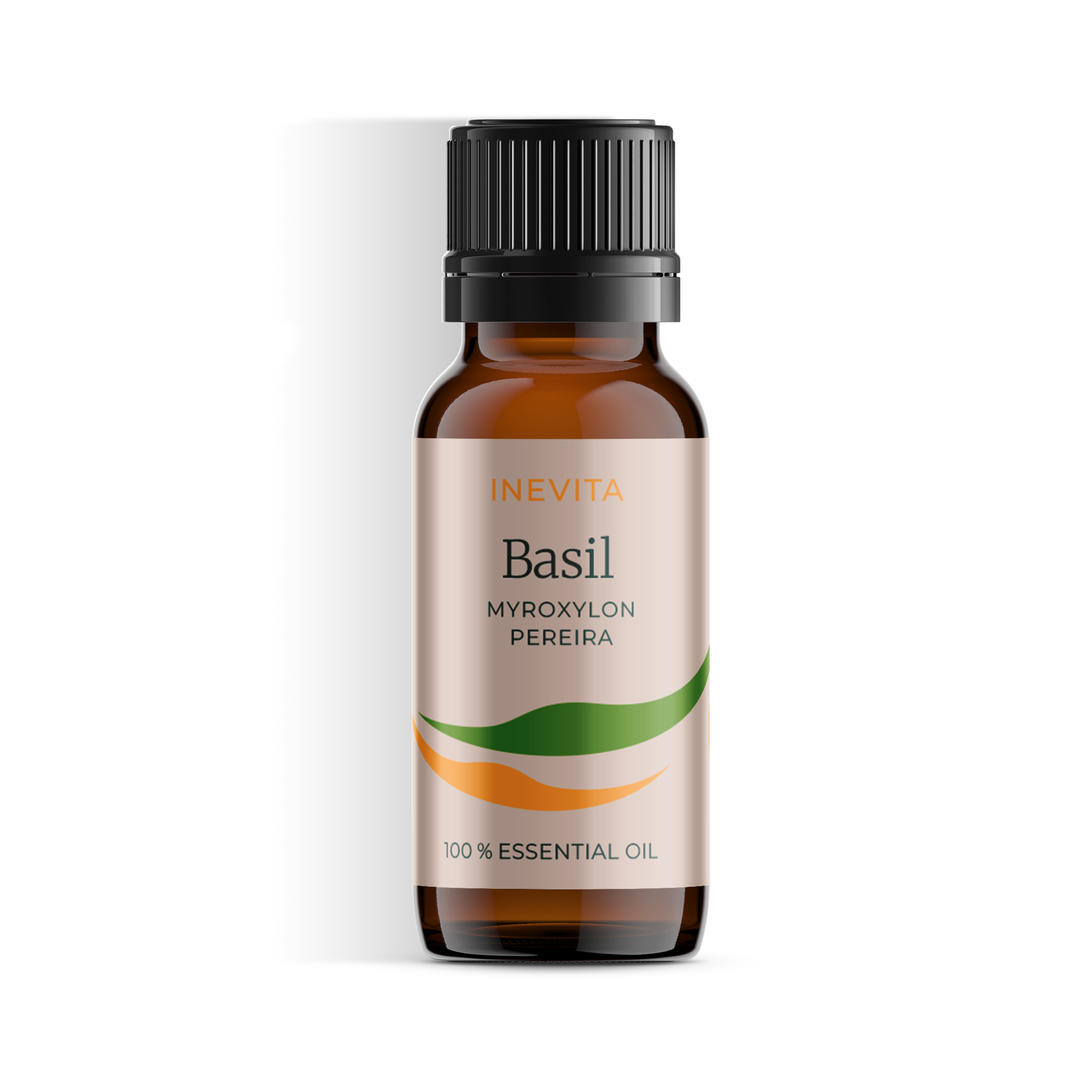 Basil – inevitaworld.com