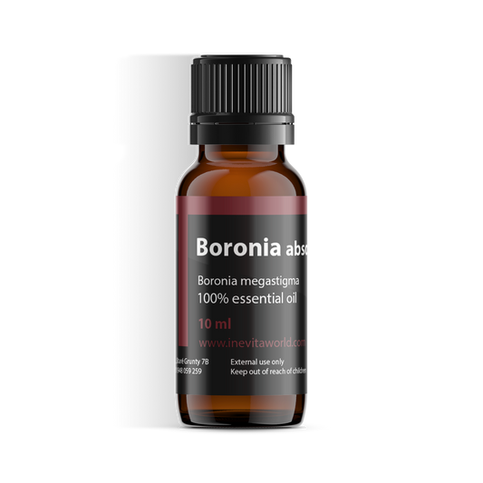 Boronia Absolute