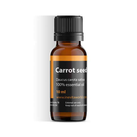 Carrot seed