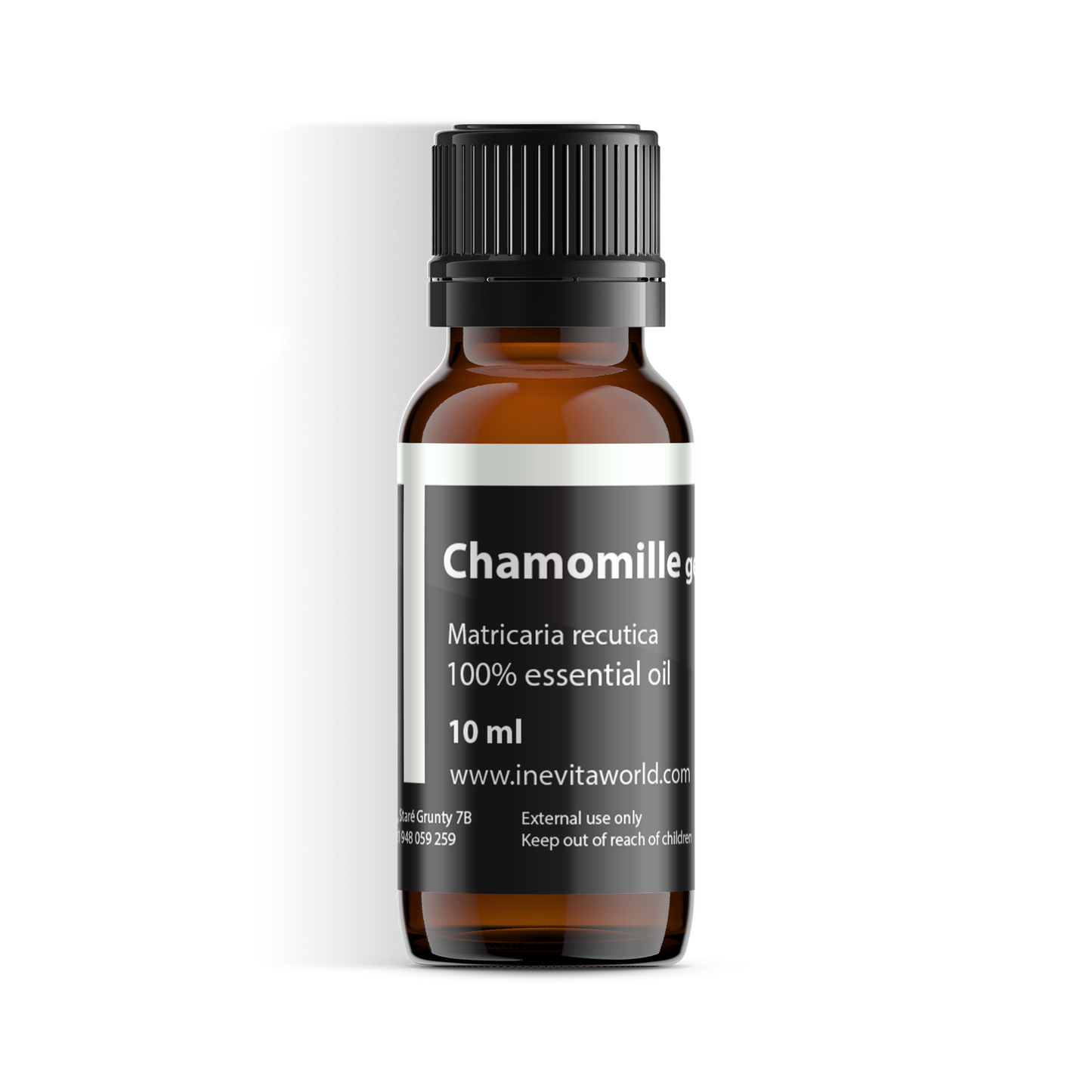 German chamomille