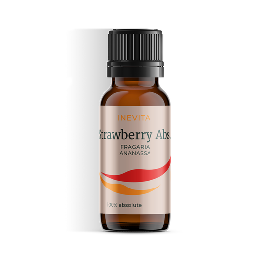 Erdbeere CO2