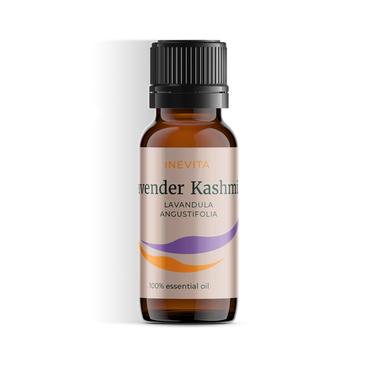 Lavender Kashmir
