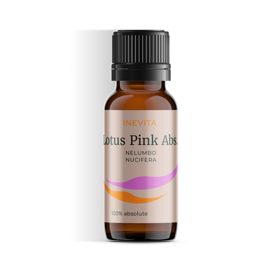 Lotus Pink Absolute