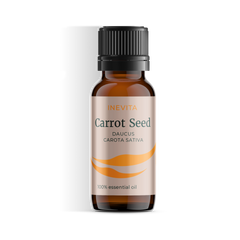 Carrot seed