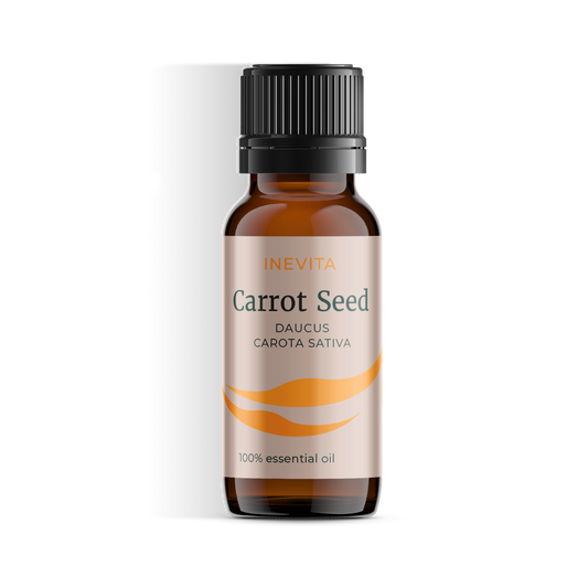 Seme di carota