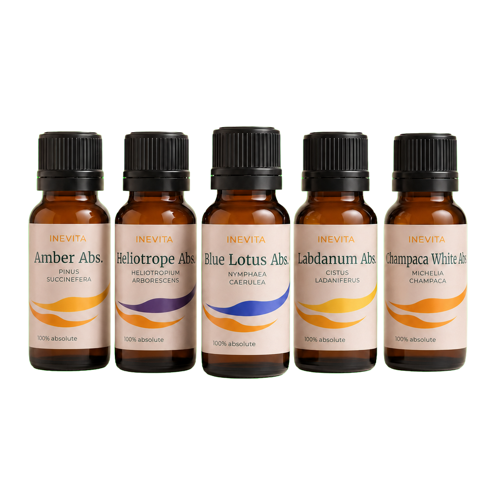 Natur-Aromatorium-Entdeckungsset – 5 x 2 ml