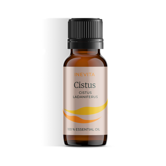 Cisto