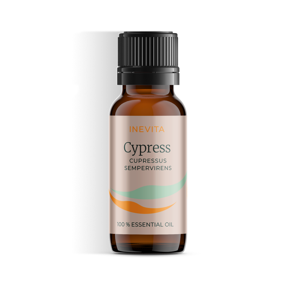 Zypresse