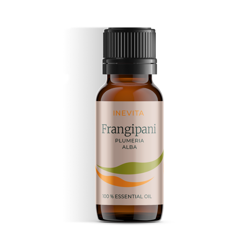 Frangipani