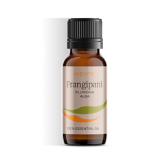 Frangipani