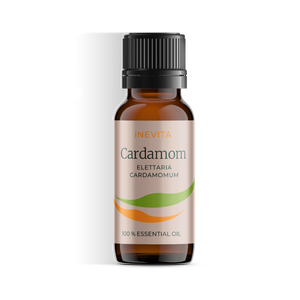 Cardamome