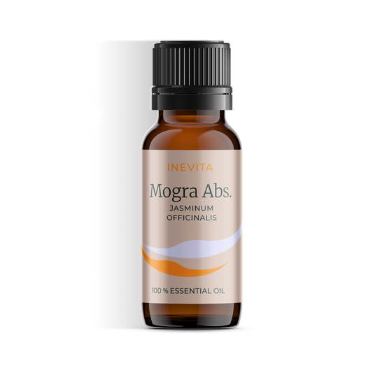 Mogra absolutes Öl