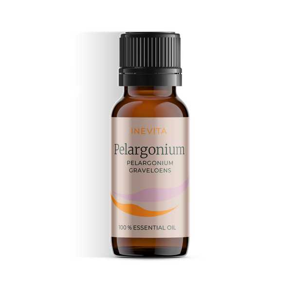 Geranium