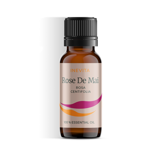 Rose de Mai