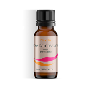 Damaszenerrose