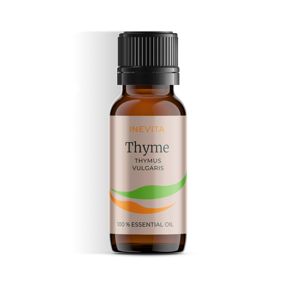 Thymian